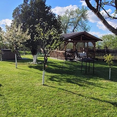 Rîşnov Casa Dana 빌라 외부 사진